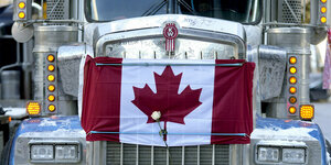 14.02.2022, Kanada, Ottawa: Eine weiße Rose ist unter einem Bungee-Seil befestigt, mit dem eine kanadische Flagge auf die Motorhaube eines Sattelschleppers geschnallt wurde.