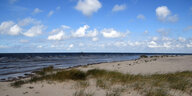 Der Strand der Vogelschutzinsel Scharhörn.