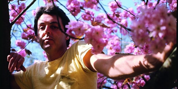 Paul McCartney inmitten von Kirschblüten