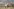 Mann mit kariertem Hemd und Cowboyhut an Holzgatter mit Pferd,
