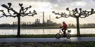 Rentner ruestig auf Fahrrad am Rheinufer vor Kulisse Duesseldorfer Heizkraftwerk