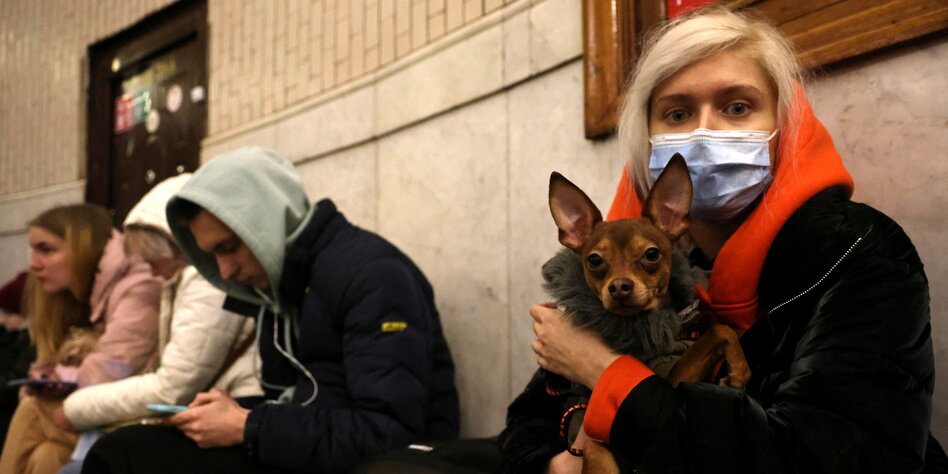 Eine Frau mit Hund sitzt auf einer Bank in der U-Bahn in Kiew