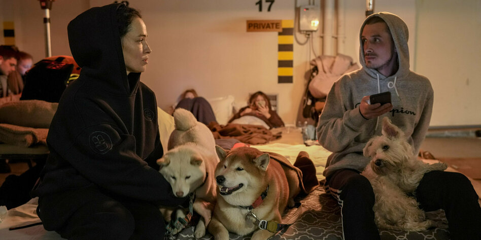 Ein Paar sitzt mit seinen Hunden in einer zum Luftschutzbunker umfunktionierten Hotel-Tiefgarage während eines Luftangriffsalarms in Kiew
