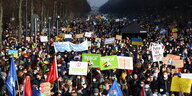tausende Menschen steen vor dem Brandenburger Tor