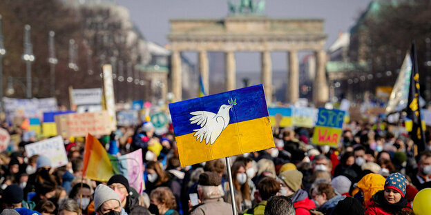 Auf einer Demonstration wird eine ukrainische Flagge mit Freidenstaube geschwenkt