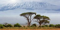 Blick auf Kilimandscharo, in Wolken gehüllt