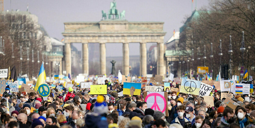 Demonstrierene Menschenmasse soweit das Auge reicht