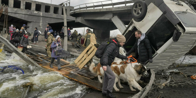 Eine Frau überquert eine provisorische Brücke mit einem Bernadinerhund Eine Frau überquert eine provisorische Brücke mit einem Bernadinerhund