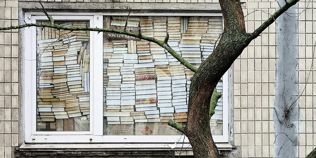 Bücher füllen ein Fenster aus