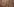 Ein wimmelndes Bild, im Orignal drei mal zwei Mter groß, einzelheiten sind in der Reproduktion nur schwer auszumachen