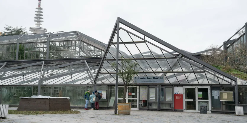 Schaugewchshuser in Hamburg: Auf unbestimmte Zeit geschlossen | taz.de
