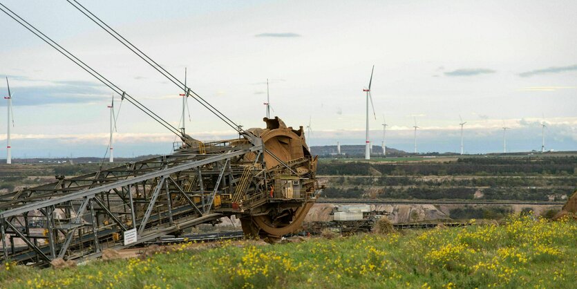 Bagger am grünen Rand des Tagebaus Garzweiler