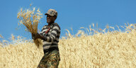 Ein Mann steht in einm Feld mit einem Büschel Weizen in der Hand