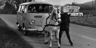 Zwei Pferde ziehen eine VW-Bulli eine Landstraße entlang