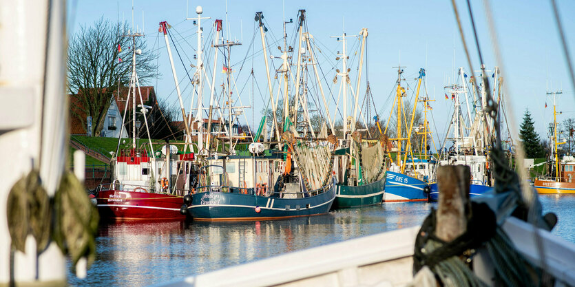 Greetsiel: Zahlreiche Krabbenkutter liegen an einer Kaimauer im historischen Hafen des Ortes. Angesichts der hohen Spritpreise bleiben die meisten Krabbenfischer an der deutschen Nordseeküste mit ihren Kuttern in diesen Tagen in den Häfen liegen.