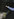 Ein ausgetreckte Hand mit Nüssen: eine Blaumeise nimmt das Futter auf der Hand sitzend an. EIne Szene beim Rundgang ducrh den Friedrichshainer Volkspark