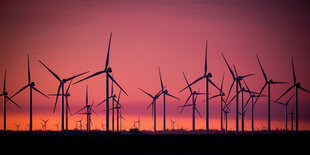 Windräder im Sonnenuntergang