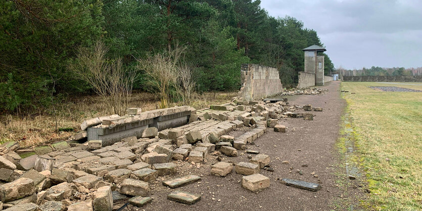 Eine umgefallene Mauer, dahinter ein Wachtum