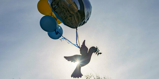 Eine Friedenstaube an einem mit Gas gefüllten Luftballon schwebt vor der Sonne am Himmel bei einer Demonstration unter dem Motto «Stoppt den Krieg! Frieden und Solidarität für die Menschen in der Ukraine»