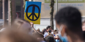 Klimastreik in Hamburg: EIn blau-gelbes Plakat mit Peace-Zeichen in der Menge