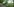 Landschaft mit Hecken