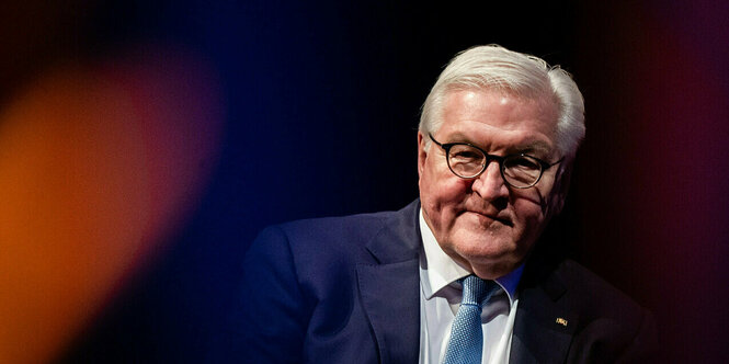 Portrait von Steinmeier