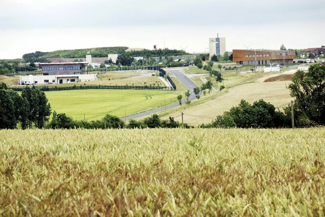 reifes Weizenfeld und Gebäude in einem Ort