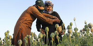 Zwei aufghanische Bauern stehen auf einem Mohnfeld zwischen angeritzten Mohnkapseln, an denen Rohopium klebt.