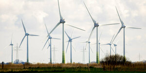 Zahlreiche Windkraftanlagen stehen auf Feldern