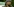 Portrait vor Polizeiauto