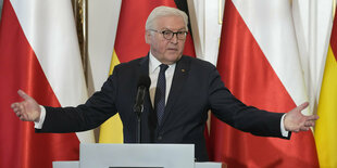 Bundespräsident Frank-Walter Steinmeier an einer rednertribüne hinter Flaggen