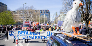 Friedenstaube auf einem Lauti vor dem traditionellen Ostermarsch