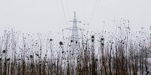 Ein Strommast, von dem Stromkabel ausgehen steht auf einem Feld. Es ist Winter. Der Himmel ist Grau, die Pfanzen auf dem Feld sind karg.