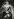 Fortografie von Annette Frick: Die Dragqueen Ovo Maltine ist in Pailette gekleidet und hält eine helle Blume in der Hand, auf dem Kopf trägt sie einen glitzernden Kopfschmuck