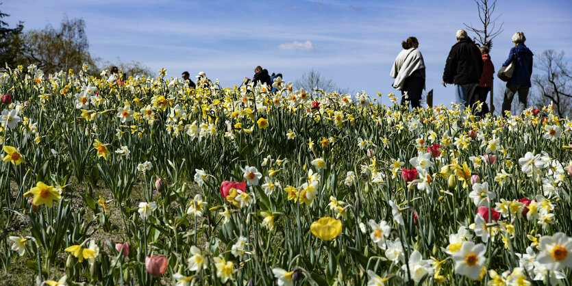 Besucher gehen an einem Blumenbeet vorbei