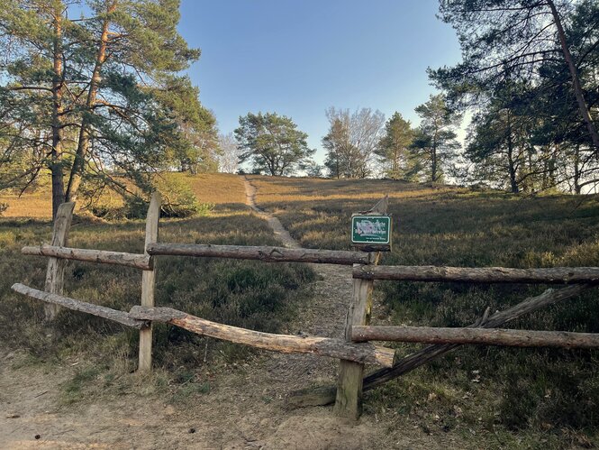 Ein abgesperrter Trampelpfad durch die Fischbeker Heide