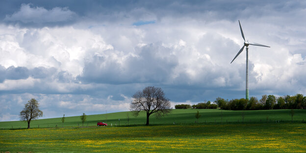 Ein Feld mit Baum und Windrad in Sachsen