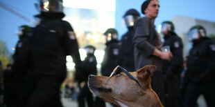 Demonstrant:innen und bunter Rauch auf Protestveranstaltung