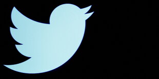 Twitter Logo hellblauer Vogel