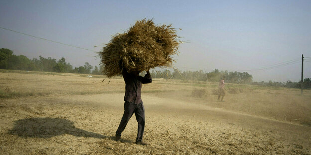 Ein Mann trägt einen Bündel Weizen auf den Rücken auf einem Feld