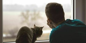 Ein Mann und eine Katze sitzen am Fenster und blicken nach draußen