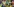 Fotocollage aus Portraits von mehreren Bundesliga-Torwarten im Einsatz.