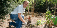 Jens Kerstan pflanzt Blumen
