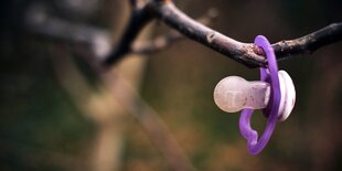 Ein lilafarbenere SChnuller hängt an einem baum