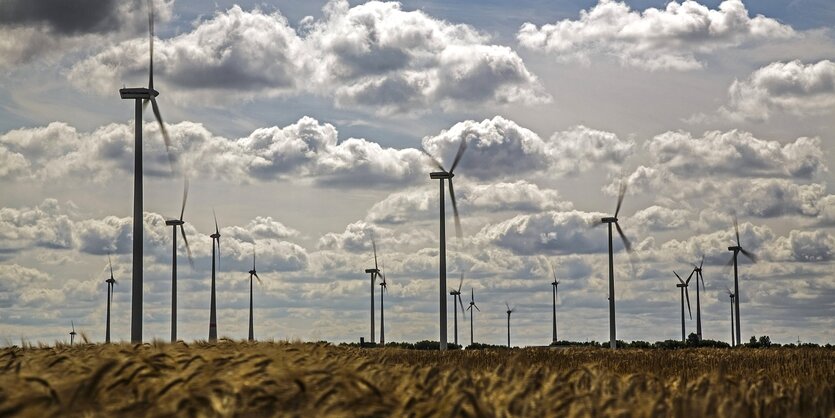 Windpark in Werder, Mecklenburg-Vorpommern