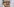 Detail eines Wahlplakats mit dem Portrait von Jean-Luc Melenchon