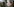 Ein Kalb streckt im Stall die Zunge raus