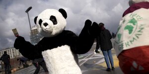 Jemand mit einem Pandabärkostüm läuft auf der Straße herum