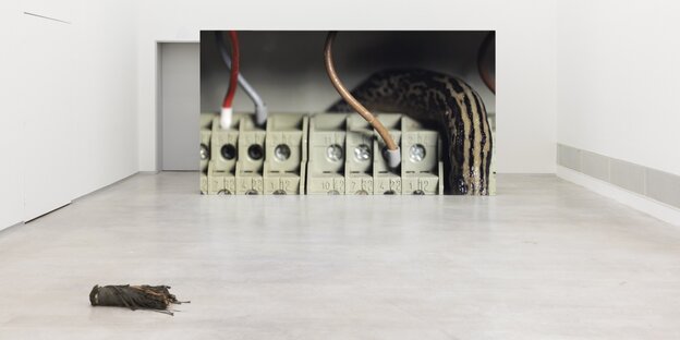 In einem Ausstellungsraum liegt vorne ein Stück eines dicken Kabels, hinten an der Wand steht eine Fotografie von Kabeln, die in einen Rechner führen