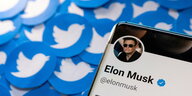 Twitter Logos und ein Handy mit der Musk Twitter Seite